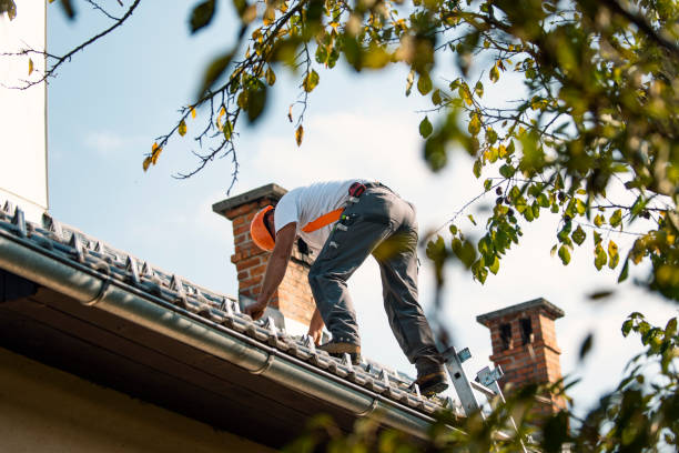 Best Metal Roofing Contractor  in West Park, CA