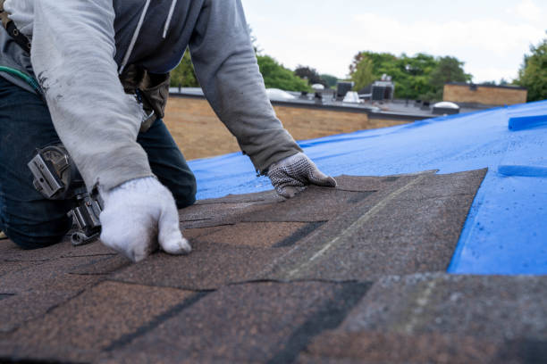 Best Roofing Contractor Near Me  in West Park, CA