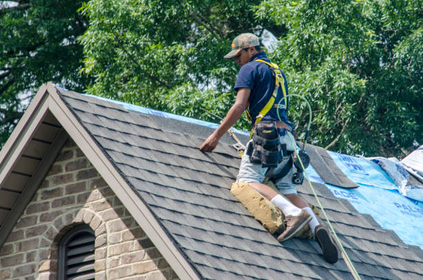 Best Shingle Roofing Installation  in West Park, CA